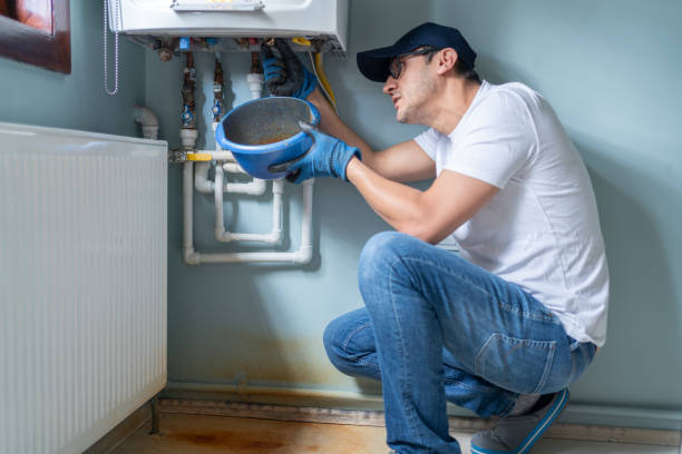 Best Drain Cleaning Services  in Brownsville, FL